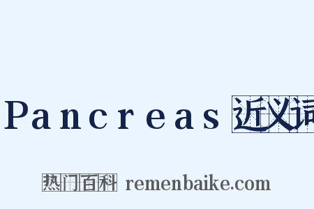 Pancreas近义词是什么意思的图片